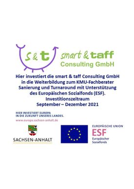 ESF Logo Fachberater Sanierung und Turnaround - smart & taff Consulting GmbH